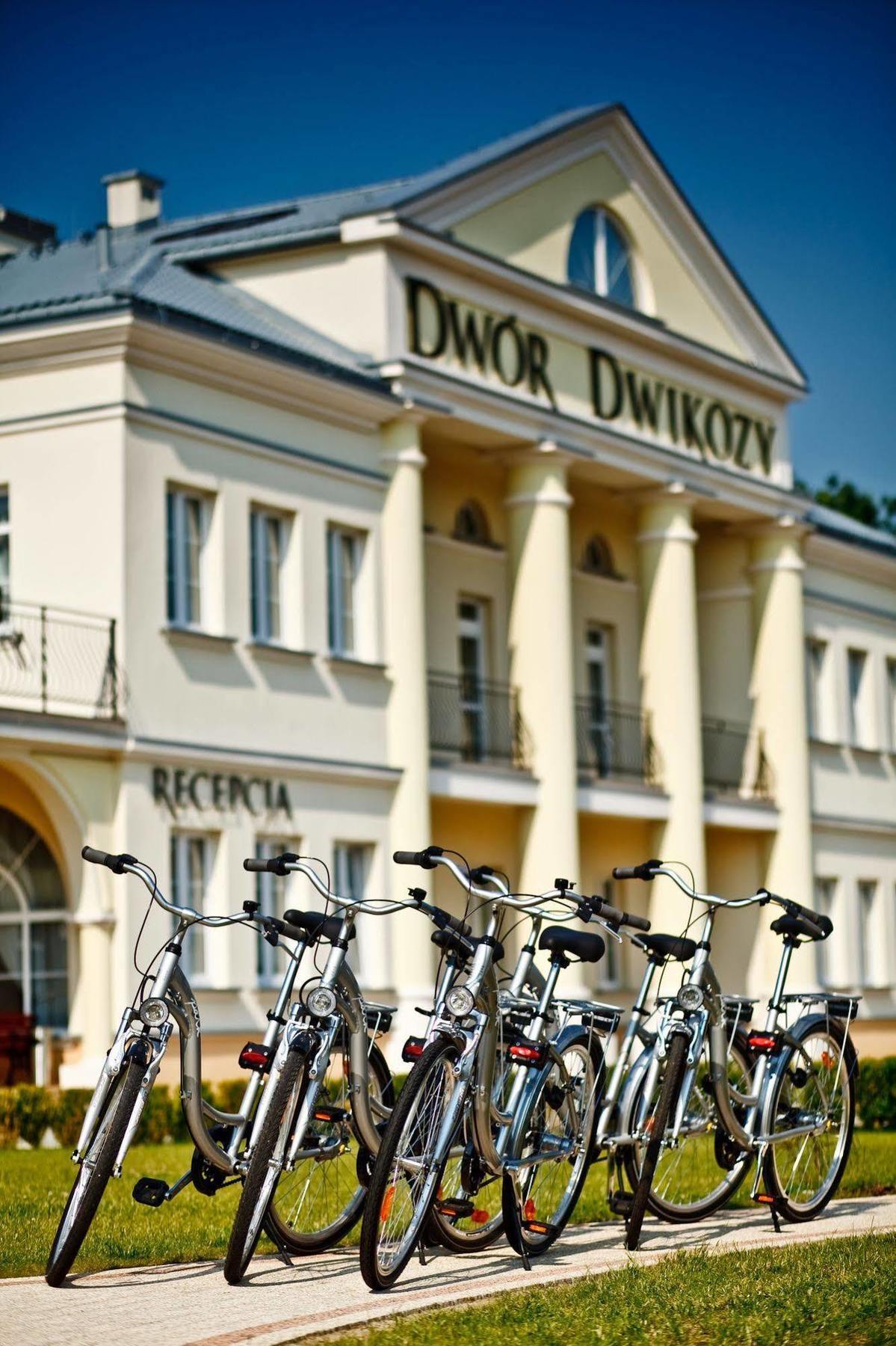 Hotel Dwor Dwikozy Extérieur photo